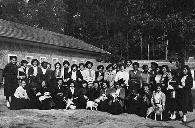 Mulheres pioneiras da proteção animal no Brasil: Um panorama histórico do século 20
