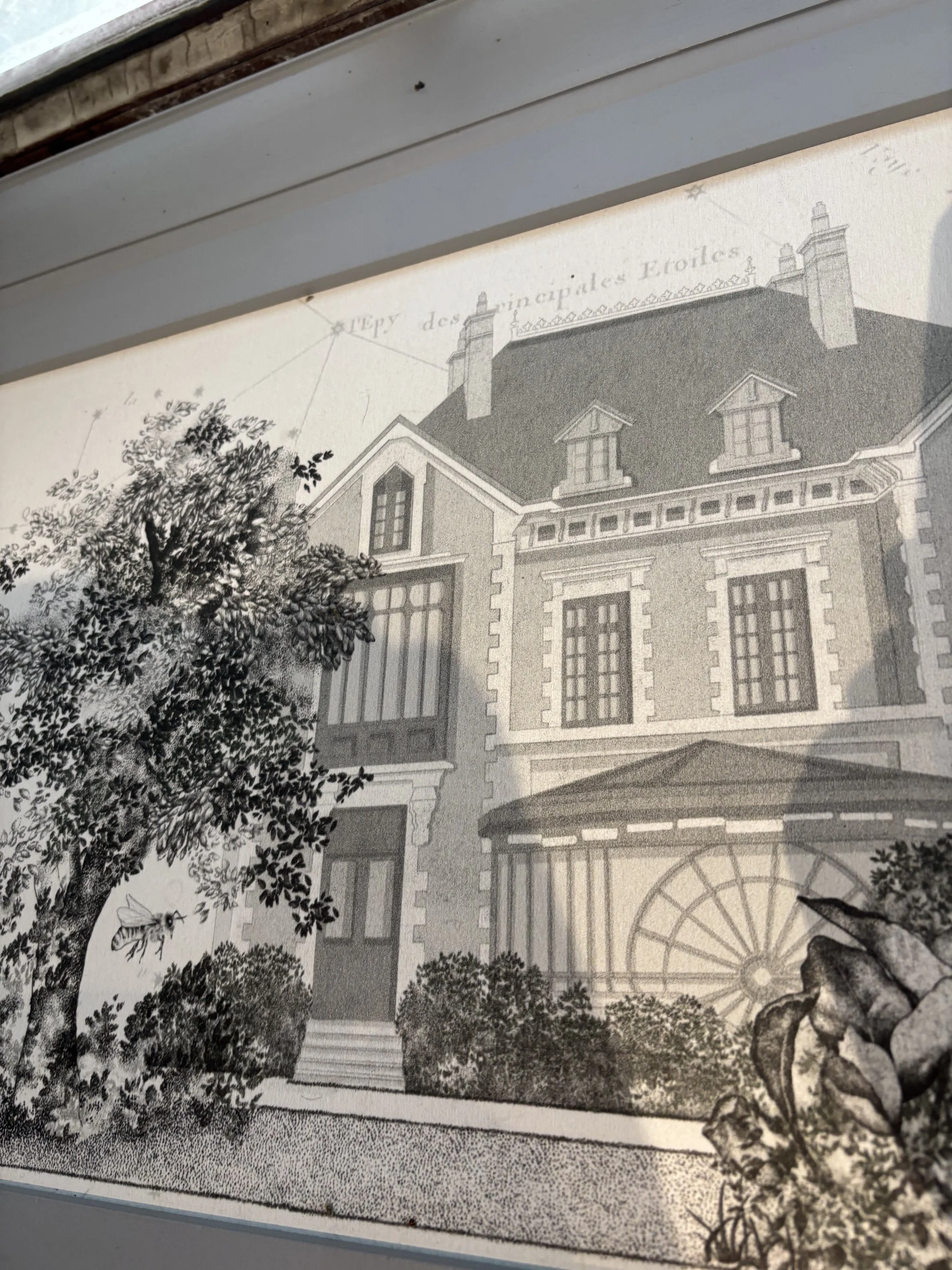 Visite musée DIOR