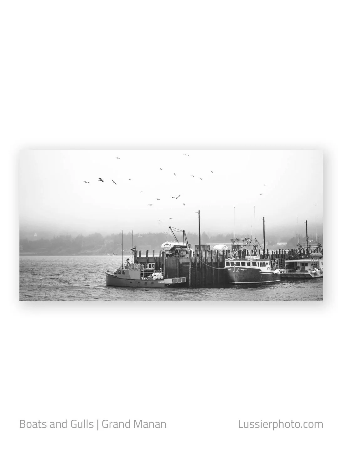 Fishing boats and seagulls on Grand Manan Island, Canada
.
.
.
#grandmanan #grandmanancanada #grandmananisland #seascape #coastal #coastalliving #blackandwhitephoto #bwphotography