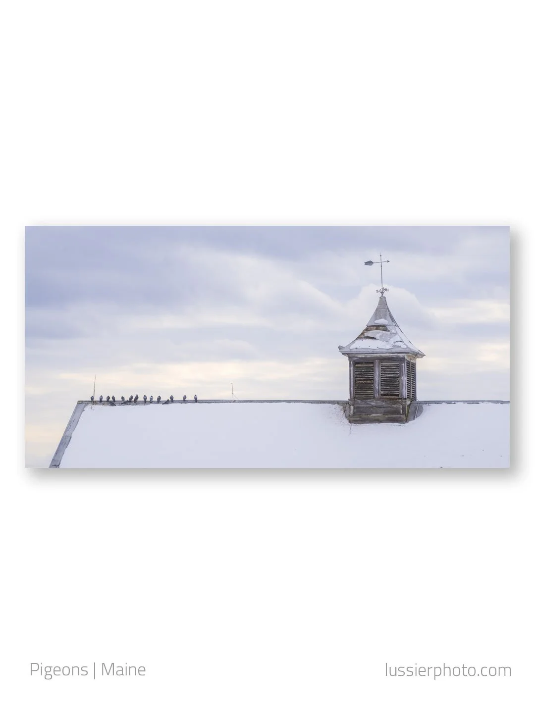 Another image from a quick trip to Maine this past weekend with @perlmutterphotography. The barn was great. The pigeons sitting atop made it for me.
.
.
.
#mainelife #maine #farms #barns #photography #americana