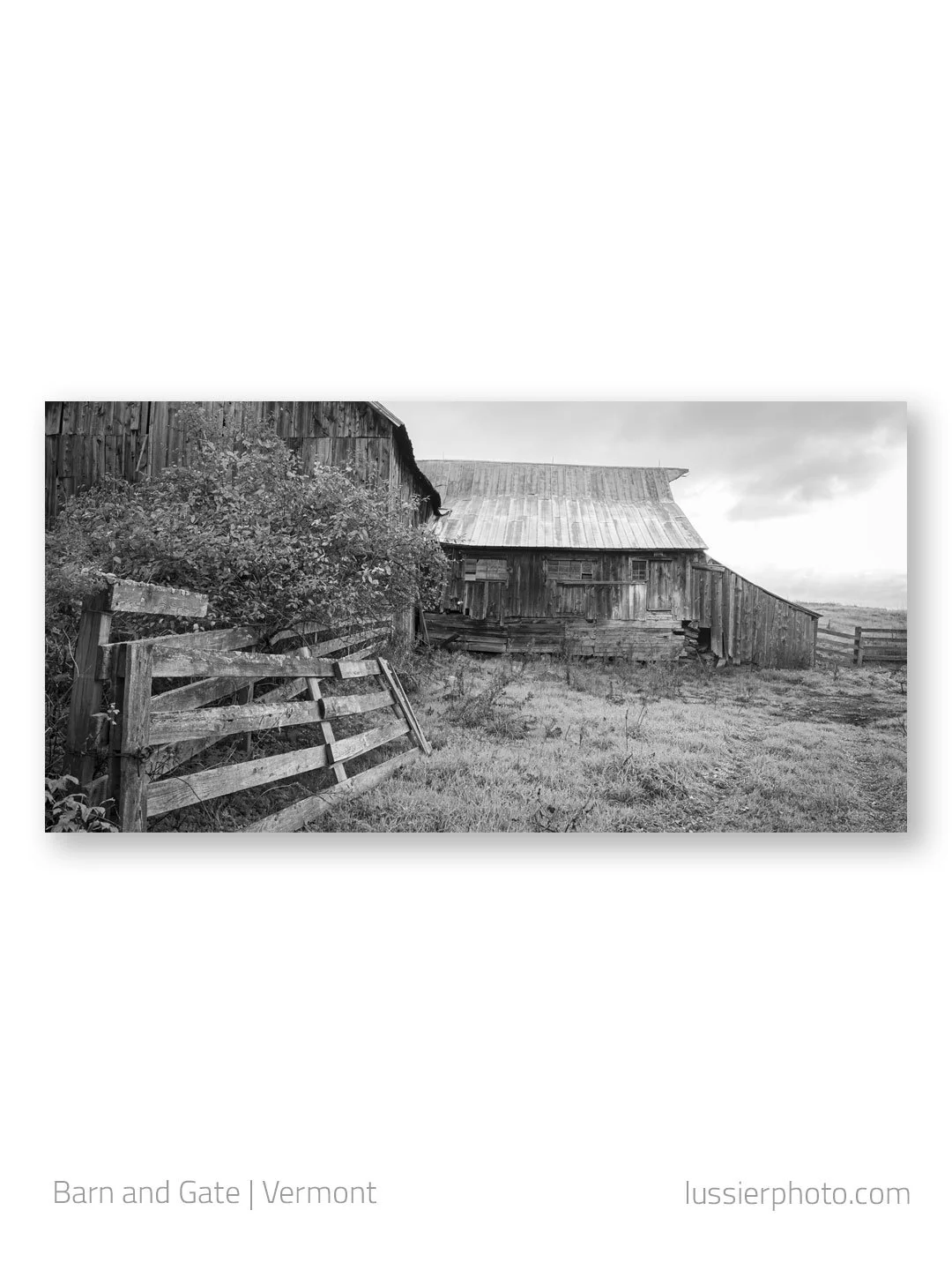 Looking back in my archives to the fall of 2004 for this image -- a barn in Vermont. No idea where, because my GPS tagging failed me. 
.
.
.
#vermont #Monochrome #bwphoto #barns #Farmlife