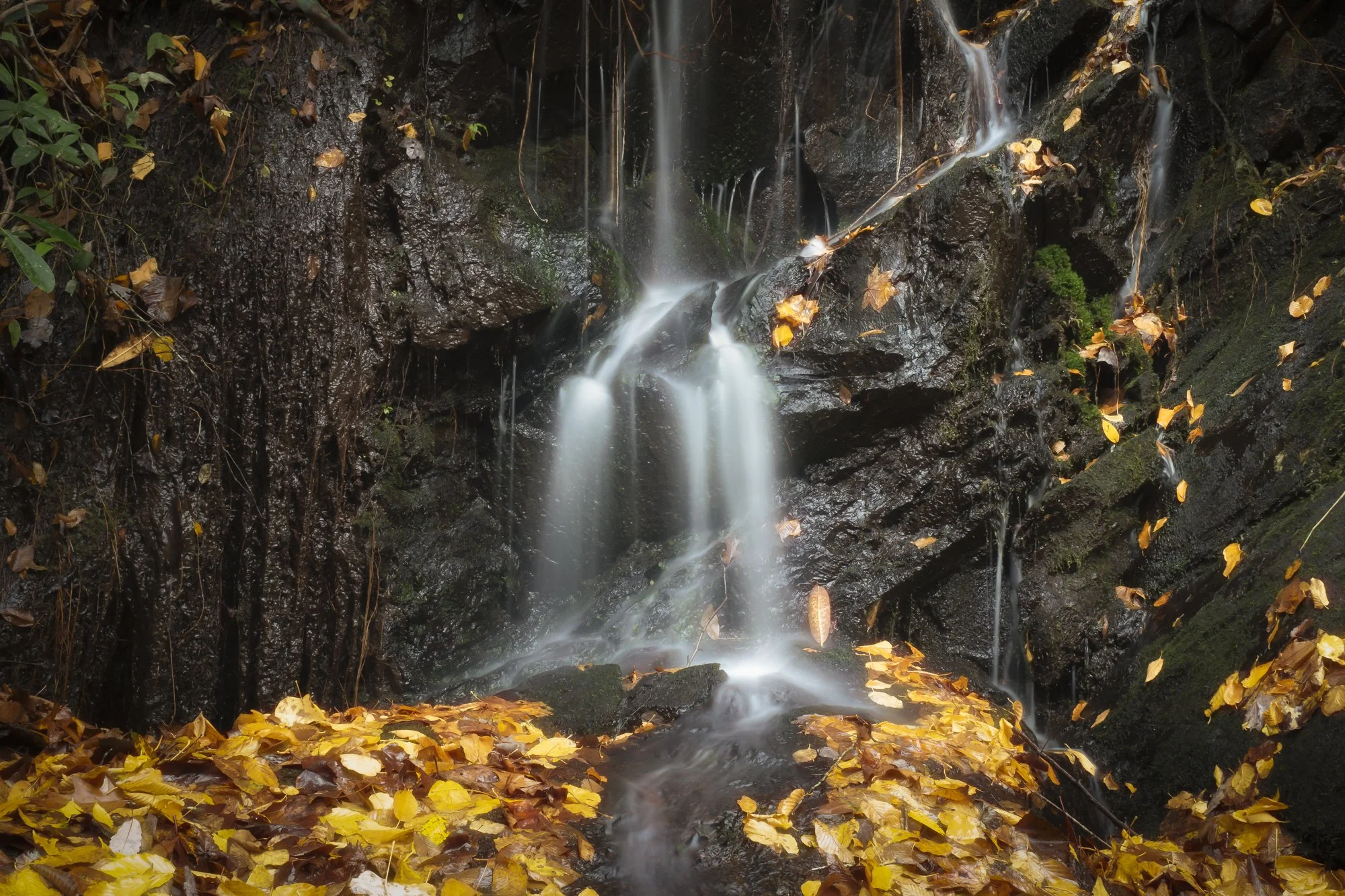 _B079336-Edit.jpg
