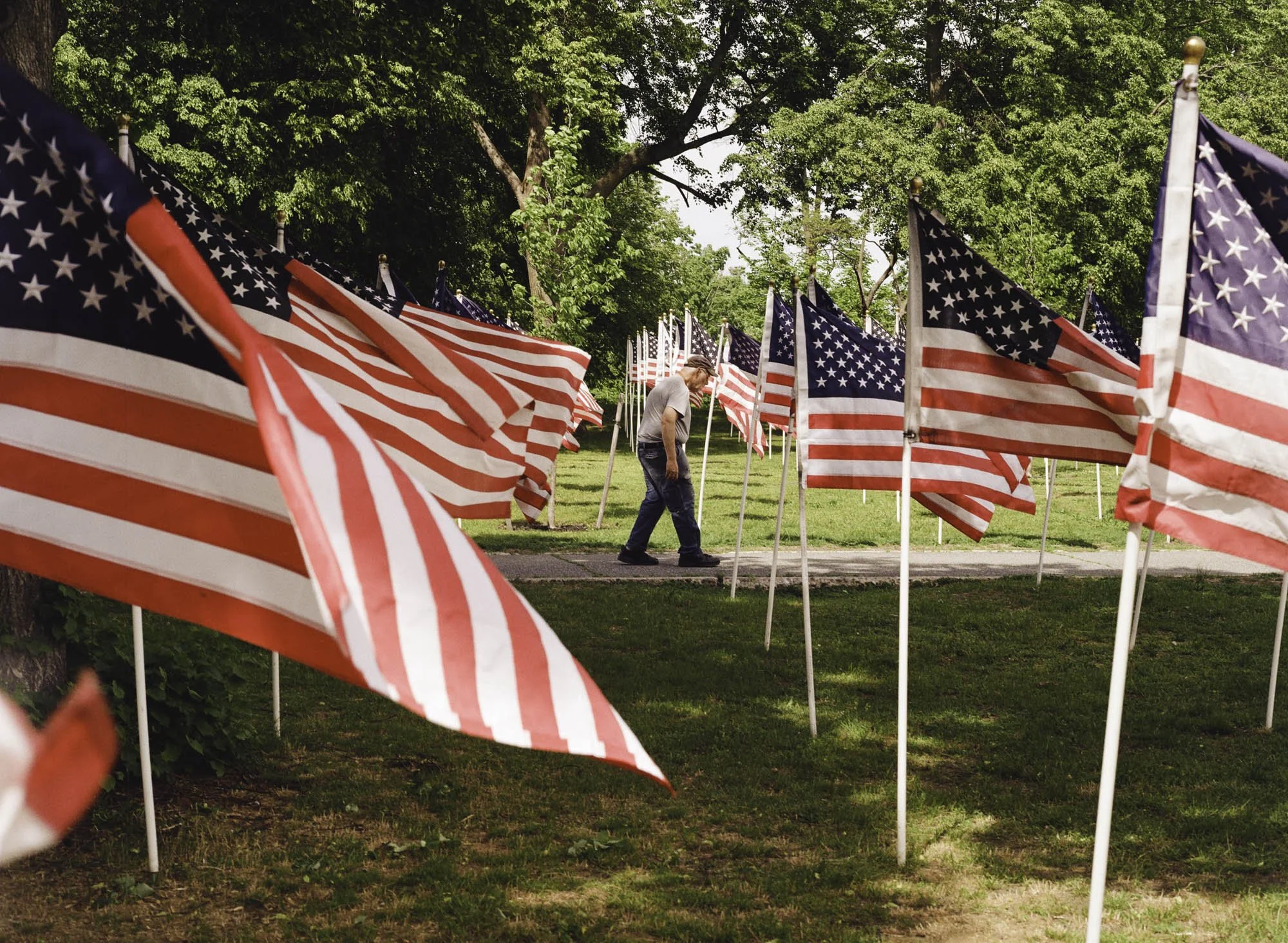Flags on Film