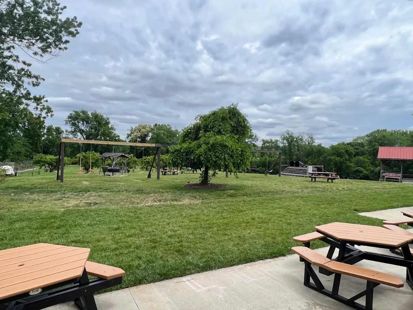 Visiting an Apple Orchard Near Me in Tennessee | First-Time Visitor Guide