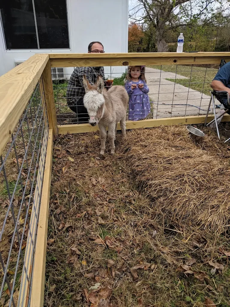 Why Tennessee Is One of the Best Places to Visit Apple Orchards