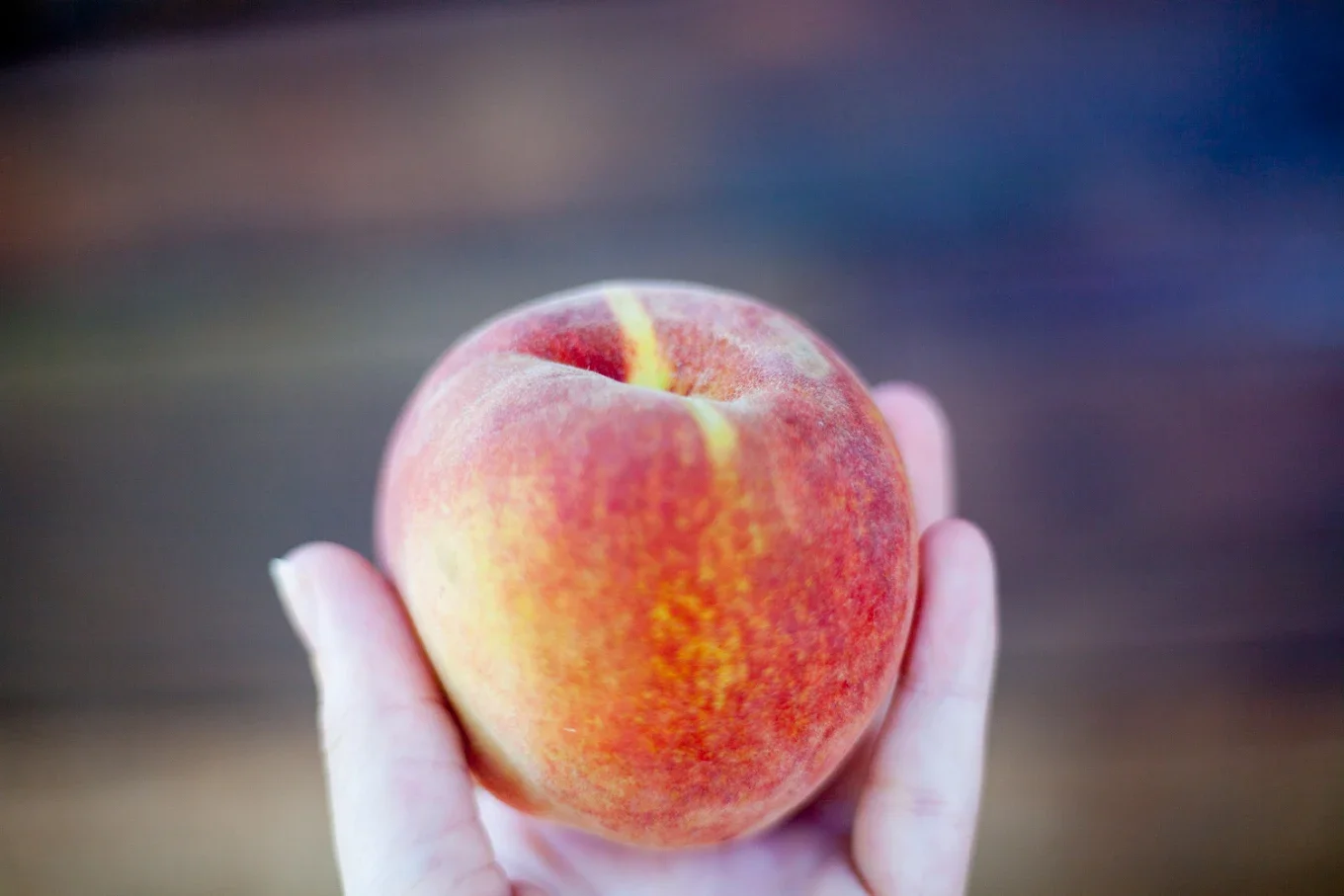 Why Orchard-Grown Apples Taste Better Than Store-Bought | Expert Insights