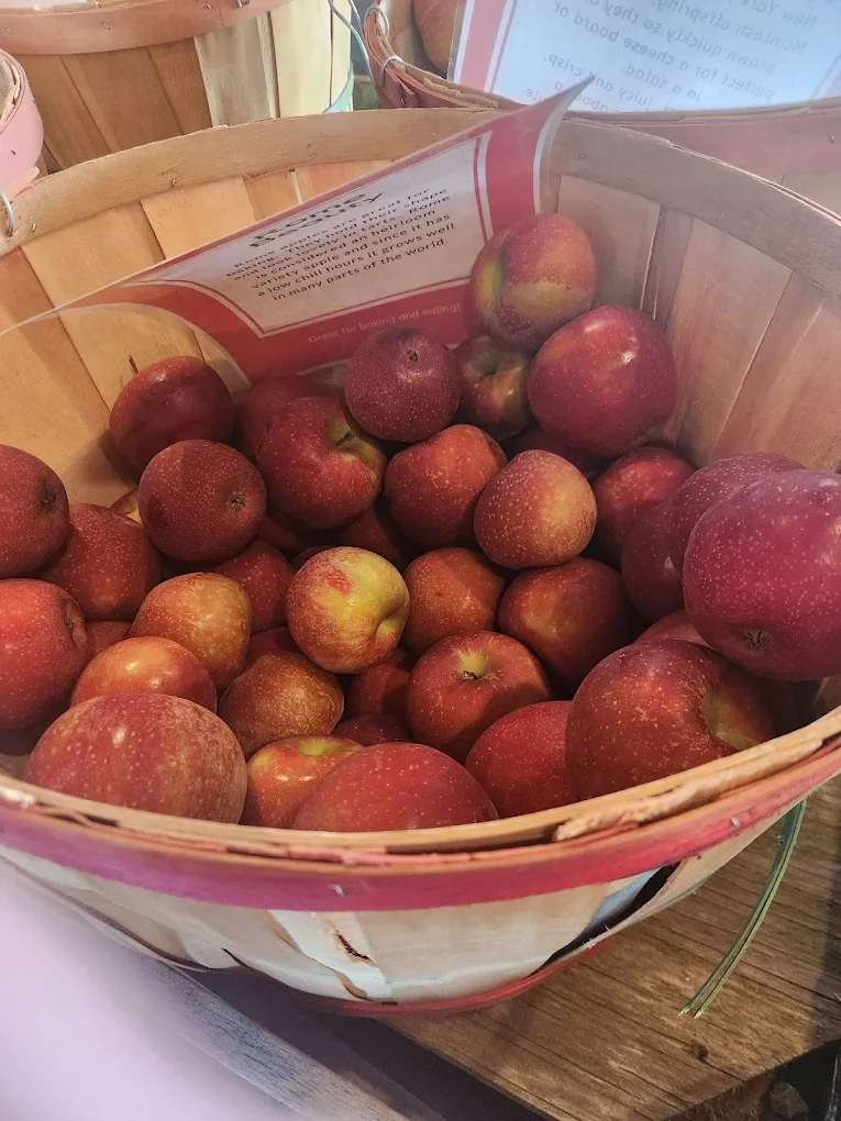 Why Orchard-Grown Apples Taste Better Than Store-Bought | Expert Insights