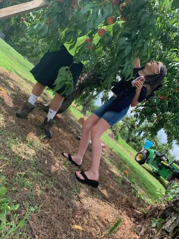 How to Find the Best Apple Picking Near Me (What to Look For)