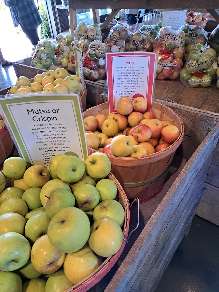 Apple Picking FAQs: Answers for First-Time Visitors