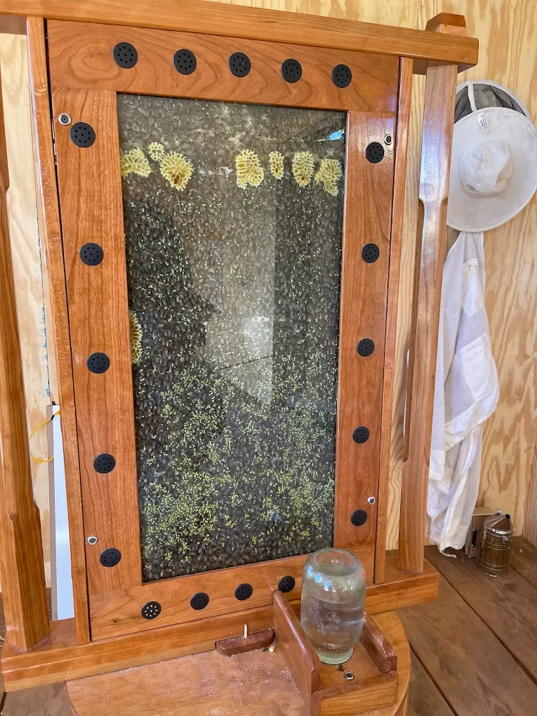 How Farmers Protect Apple Trees from Pests Naturally