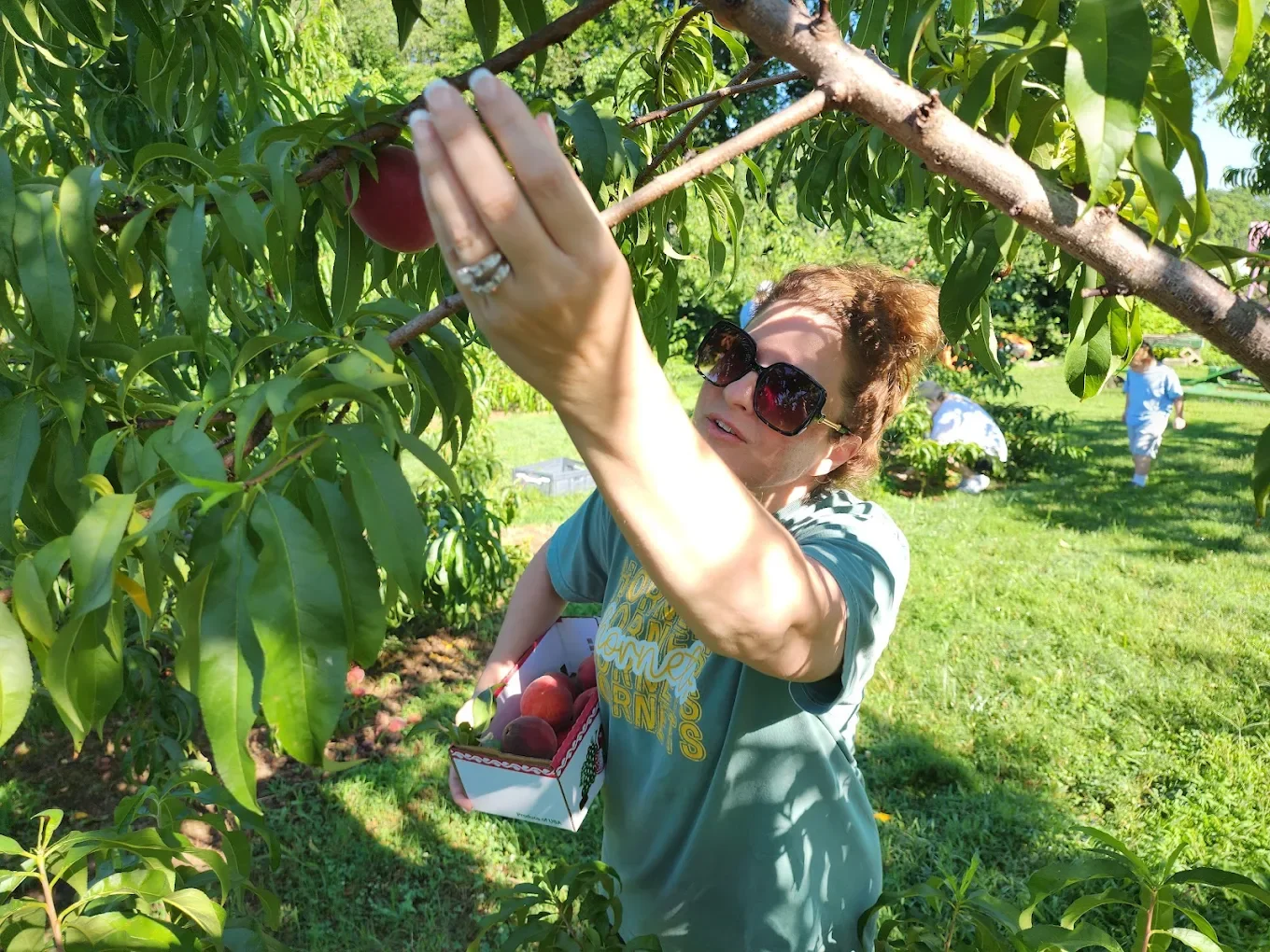 Family Activities Around Peach Season at Breeden’s