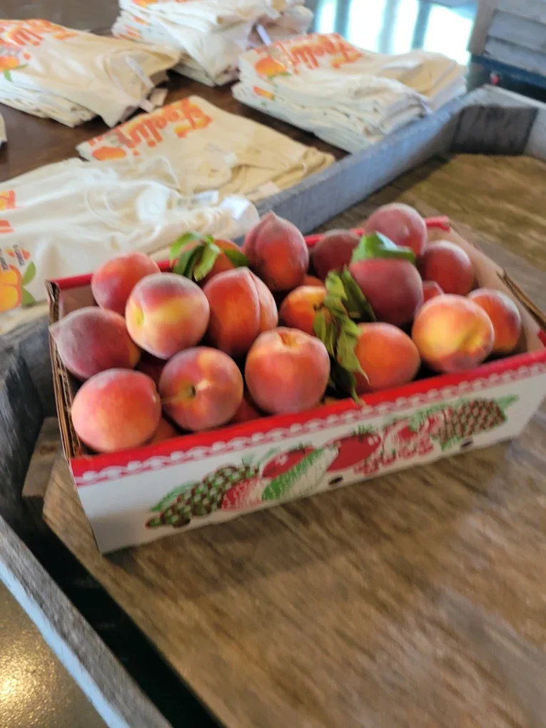 The Health Benefits of Fresh Peaches (and How to Enjoy Them)