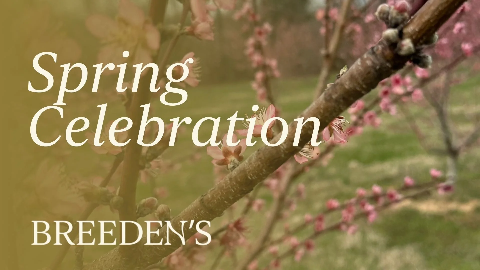 Spring Celebration - Taste of Breeden’s