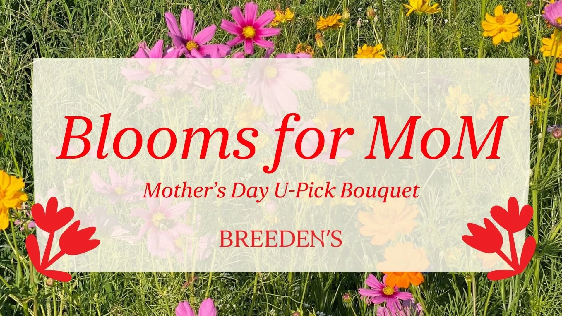 Blooms for Mom: Mother’s Day U-Pick Bouquet