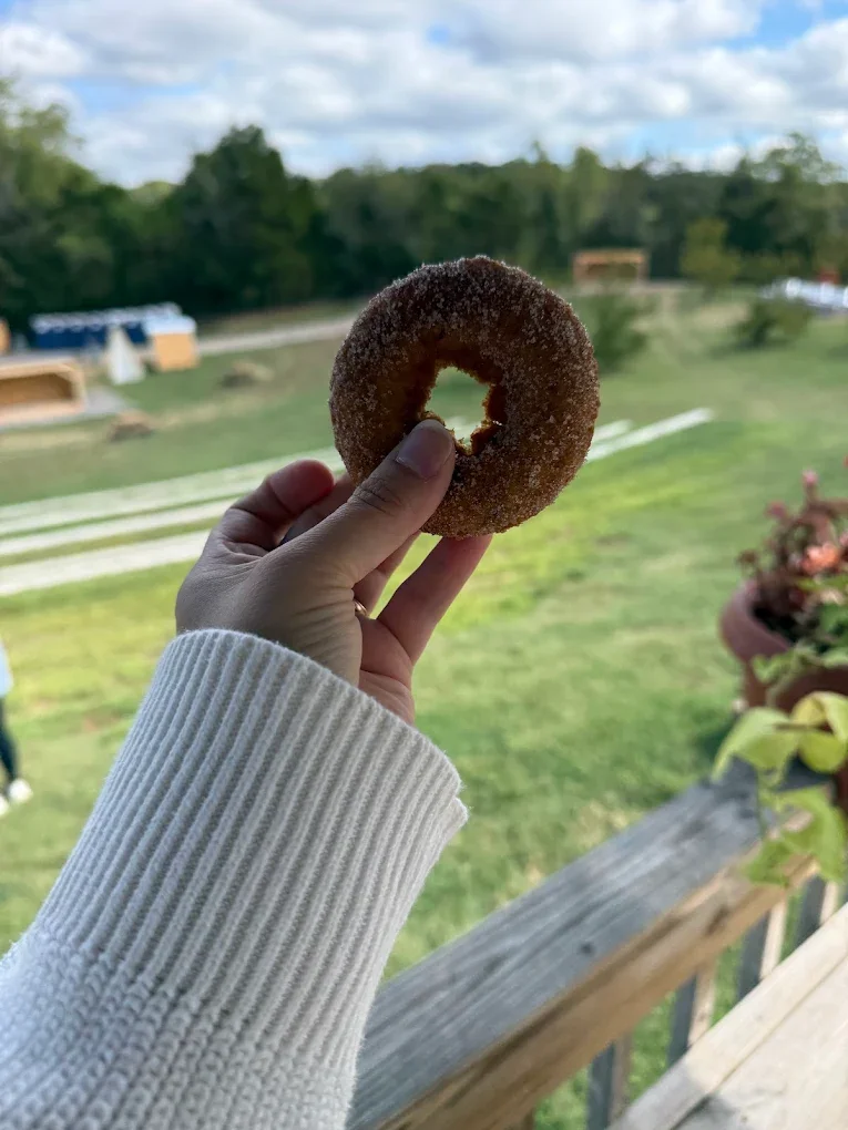 The Story Behind Our Cider Donuts, Orchard Tradition and Recipe Inspiration