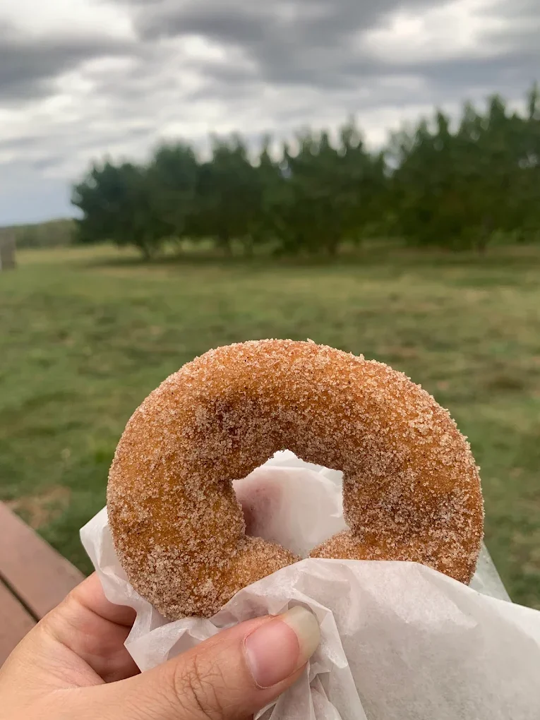 Why Fresh Orchard Donuts Taste Better Than Store Bought