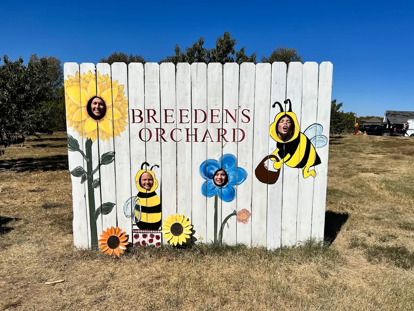 How to Capture Epic Orchard Photos (Tips from Local Influencers)