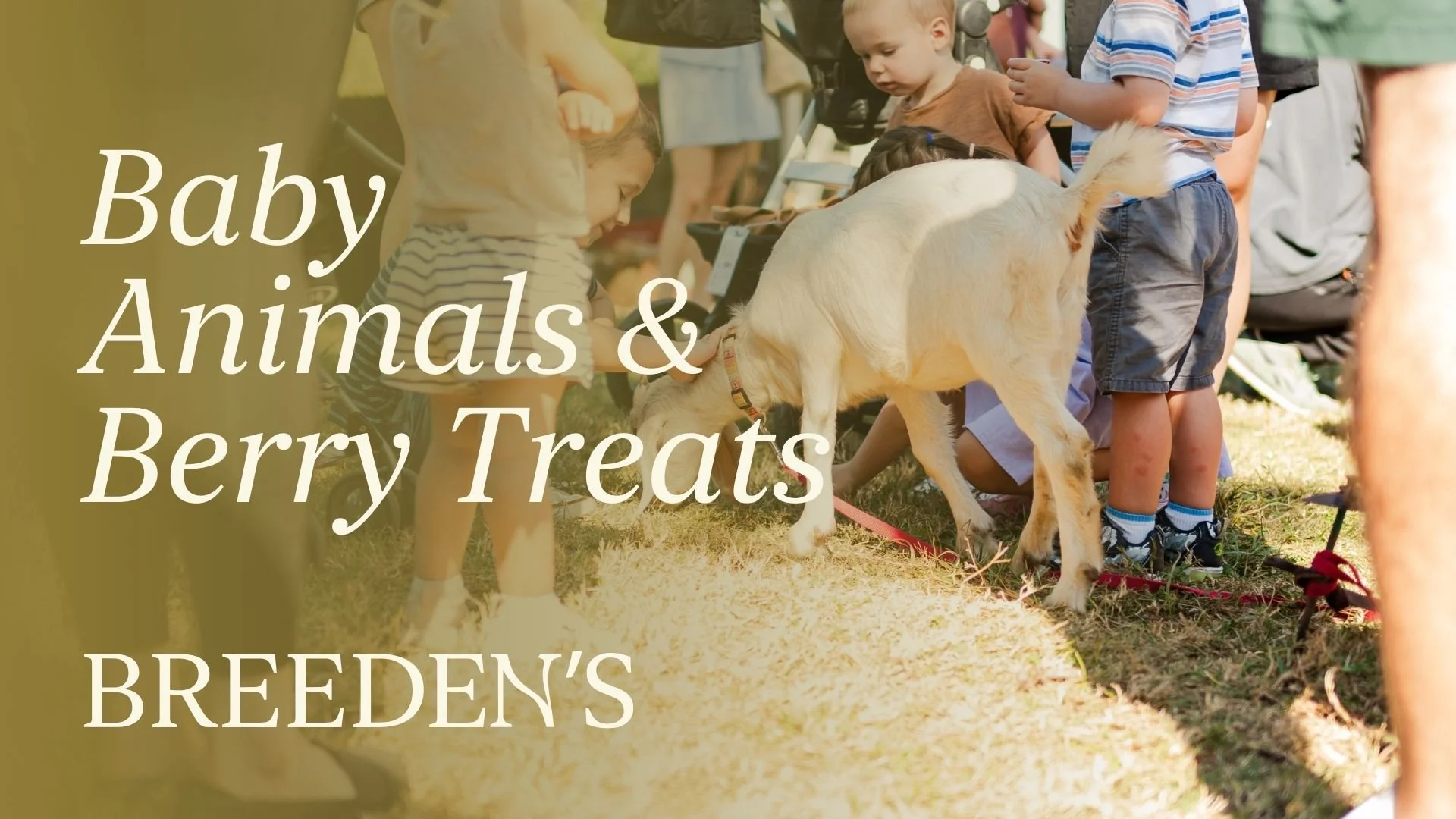 Baby Animals &amp; Berry Treats