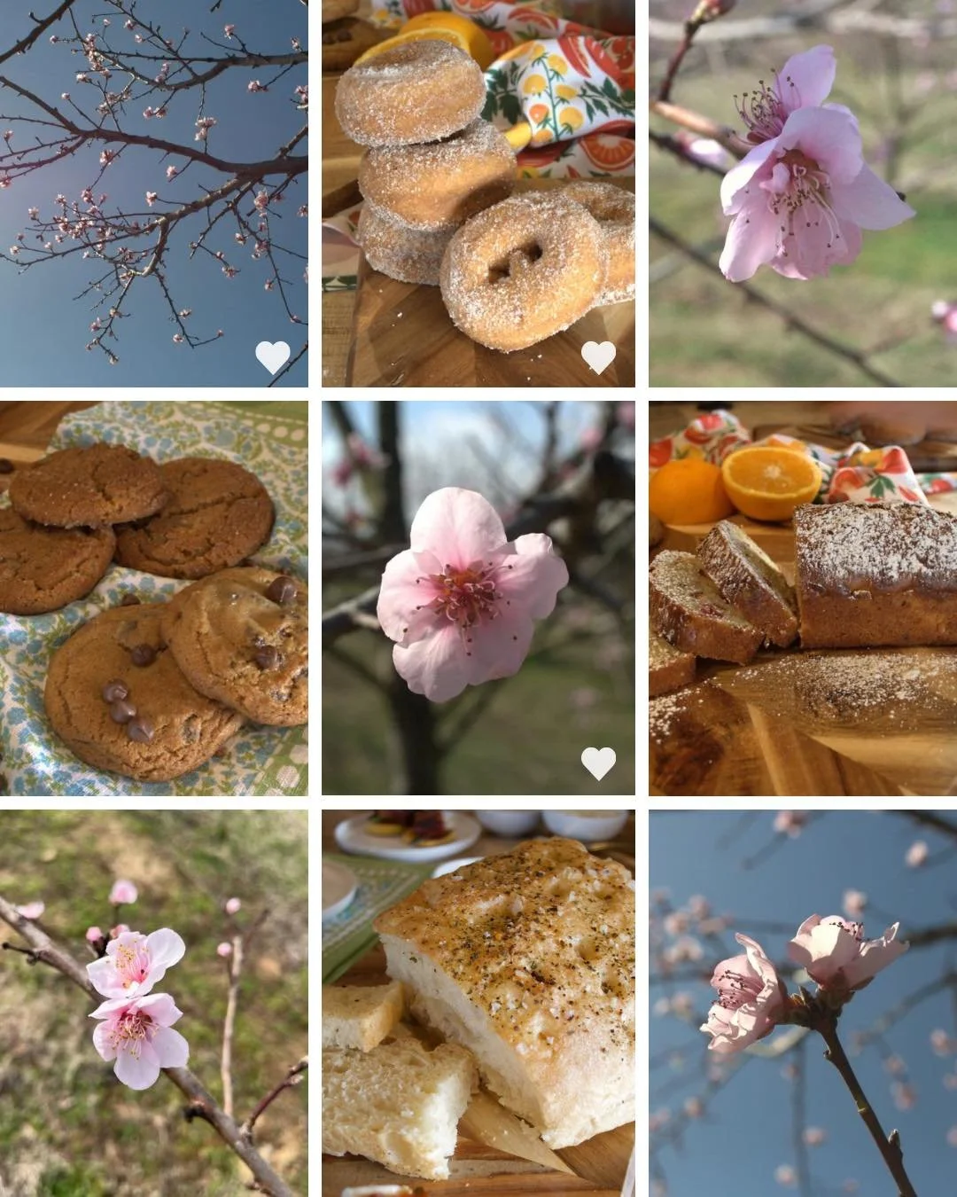 A few favorites from our camera roll lately. 📸

Sweet bakery treats, spring blossoms, and sunny days at the orchard. If this looks like your kind of vibe, don&rsquo;t forget - Taste of Breeden&rsquo;s is coming up soon on March 21st! 🌸 🍰

For a li