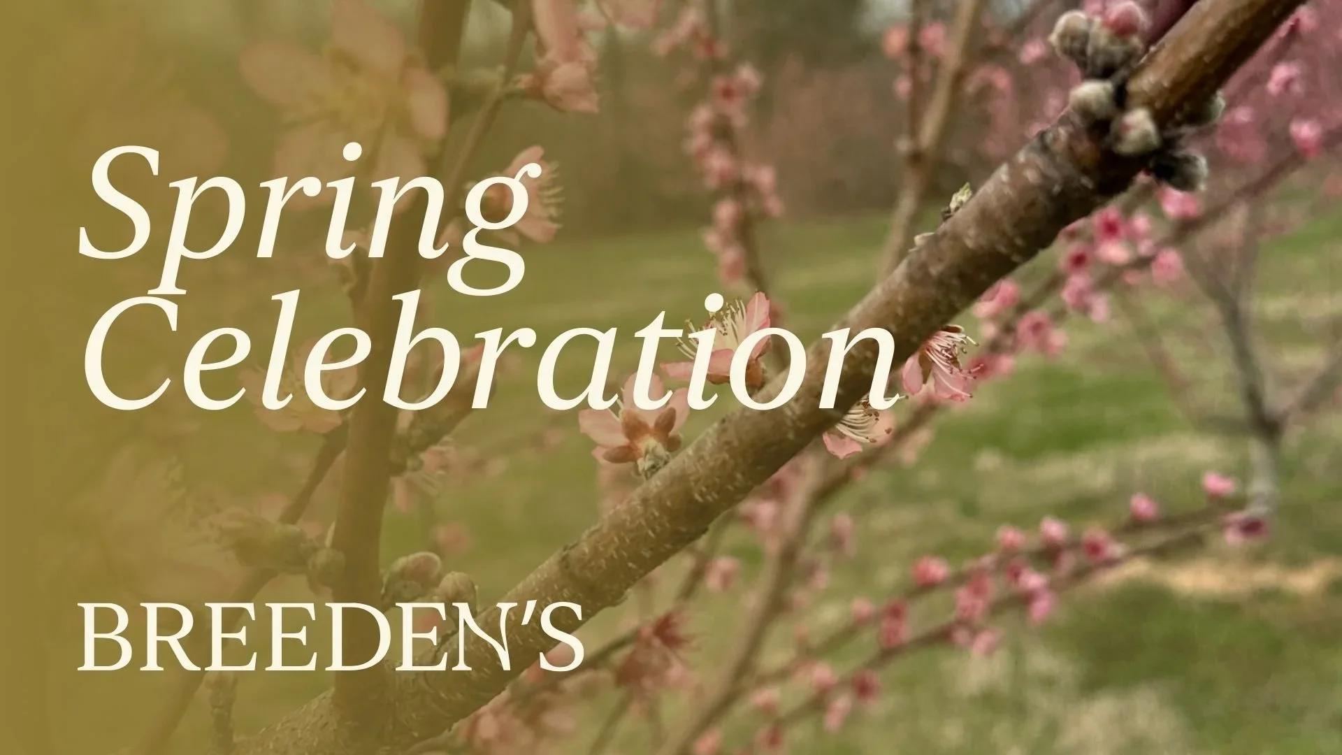 Things to Do This Spring Near Mount Juliet | Taste of Breeden's Event Guide