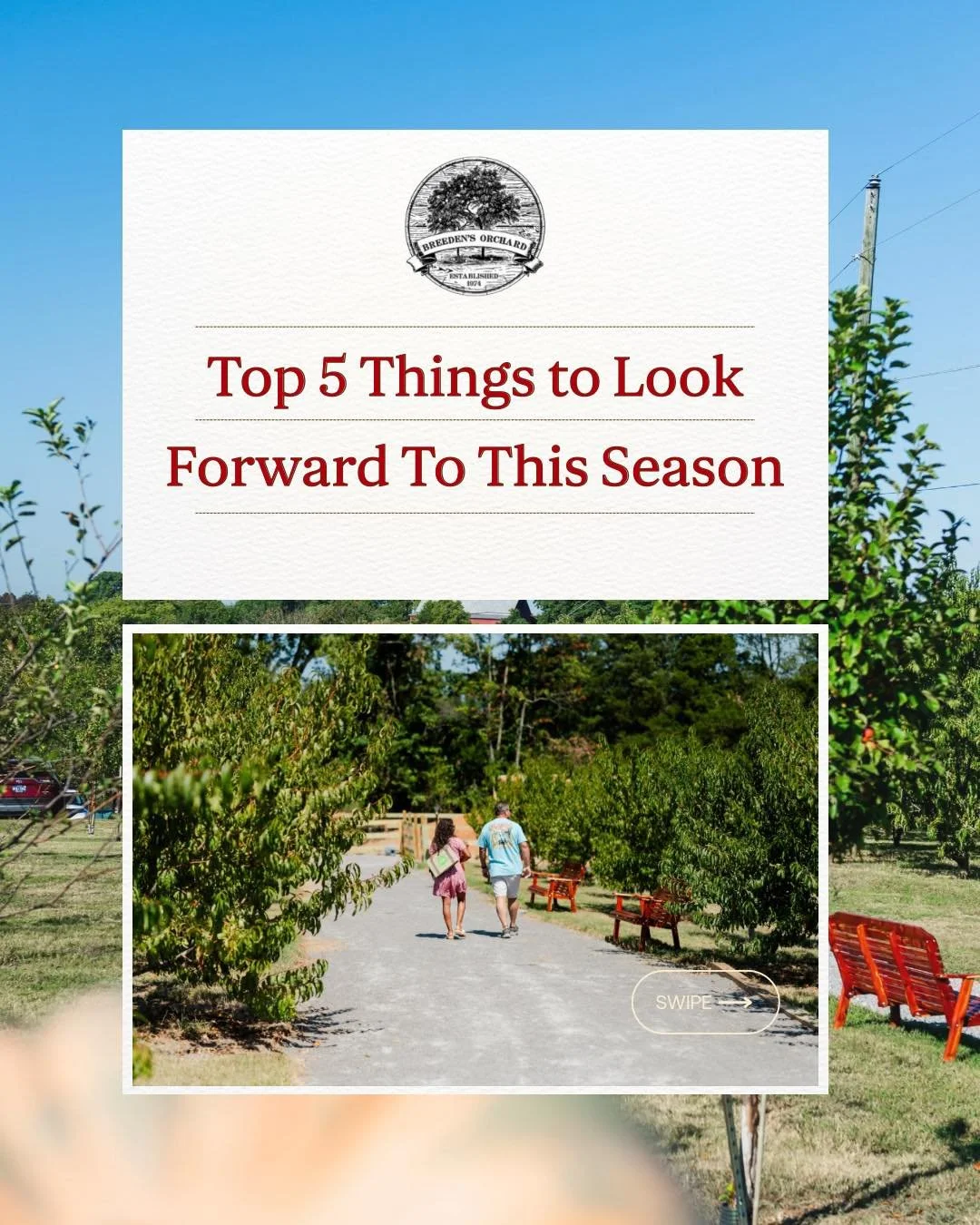 The season is just getting started, and we can&rsquo;t wait to share all the fun in store. Here are our top 5 things to look forward to this season. ✨

1️⃣ Sweet, juicy, &amp; fresh farm peaches 🍑
2️⃣ Baked goods &amp; local finds at The Farm Market