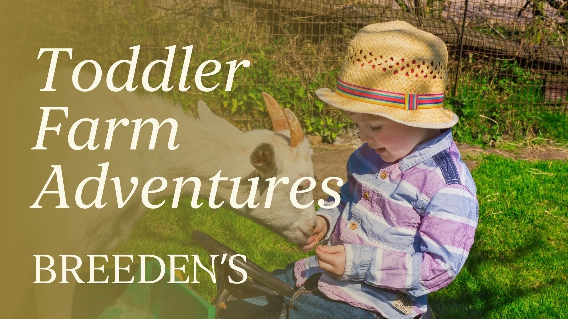 Toddler Farm Adventures