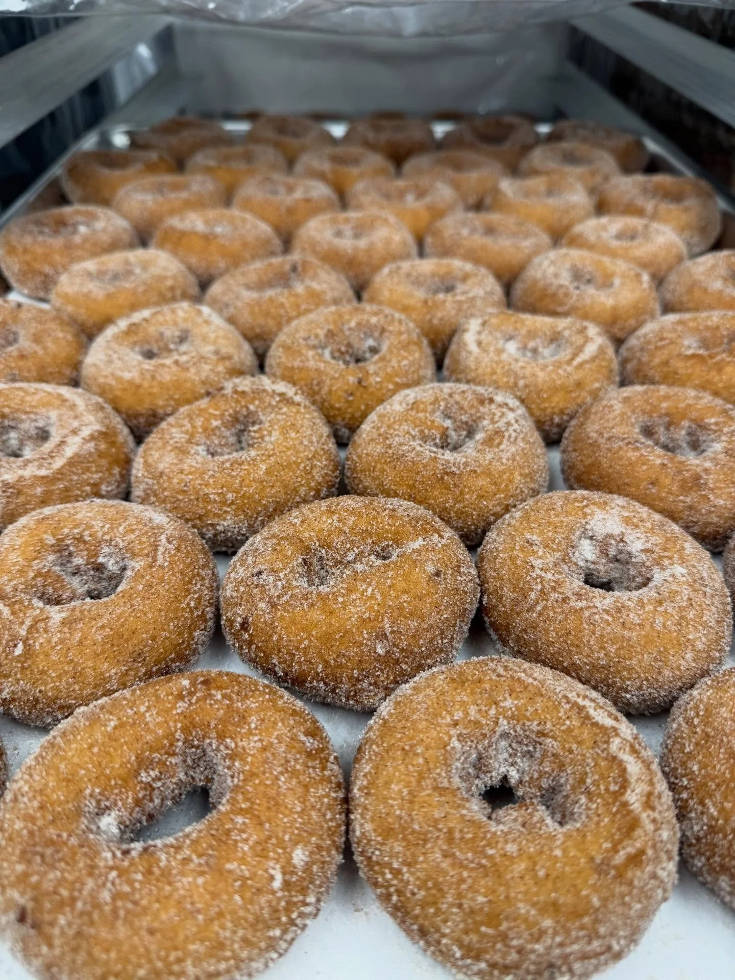 🍎 This weekend only: Apple Cider Donuts are back at Breeden&rsquo;s 🍩
&hellip;and after this weekend, they&rsquo;re gone until September.

Warm, soft, coated in cinnamon sugar, and made fresh at the orchard all weekend long. 

Get here early before