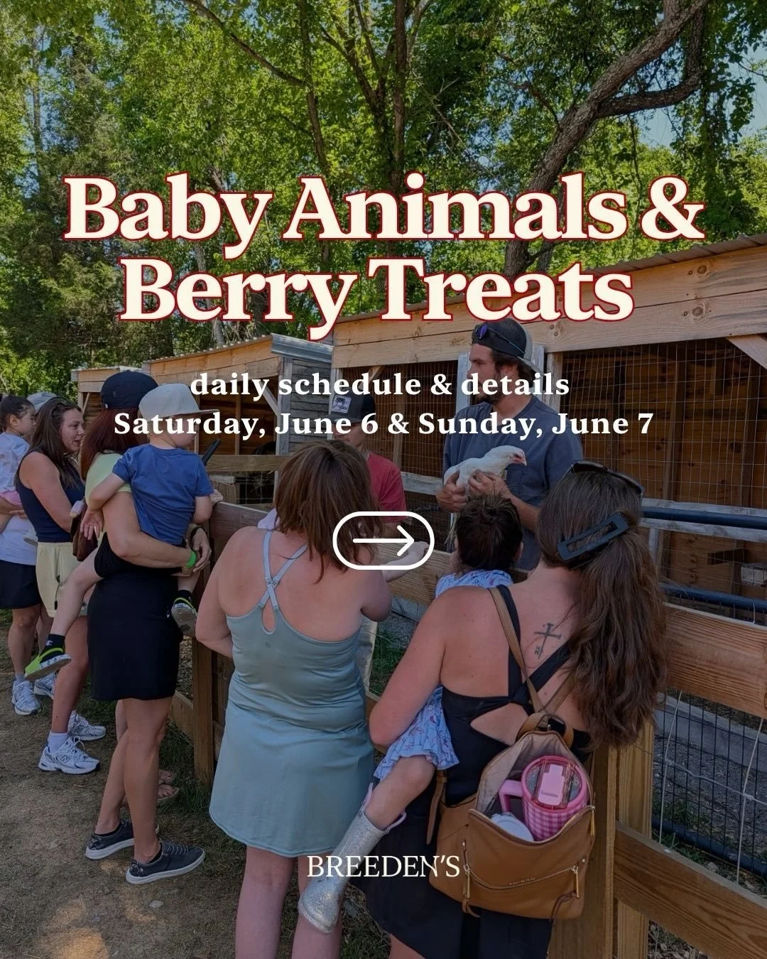 🍓 Babies &amp; Berries is happening THIS SATURDAY &amp; SUNDAY at Breeden&rsquo;s Orchard!

Come cuddle baby farm animals, enjoy fresh berry treats, explore the play yard, and experience a fun-filled day on the orchard with the whole family. 🌿✨

Ch