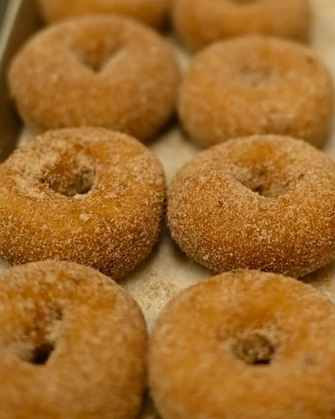 🍑🍩 National Donut Day calls for Peach Cider Donuts!

Pre-order now for weekend pickup, or stop by the orchard and pick some up today while supplies last.

🍩 Link in bio to pre order!

#PeachCiderDonuts #BreedensOrchard 
#MtJulietTN #WilsonCountyTN