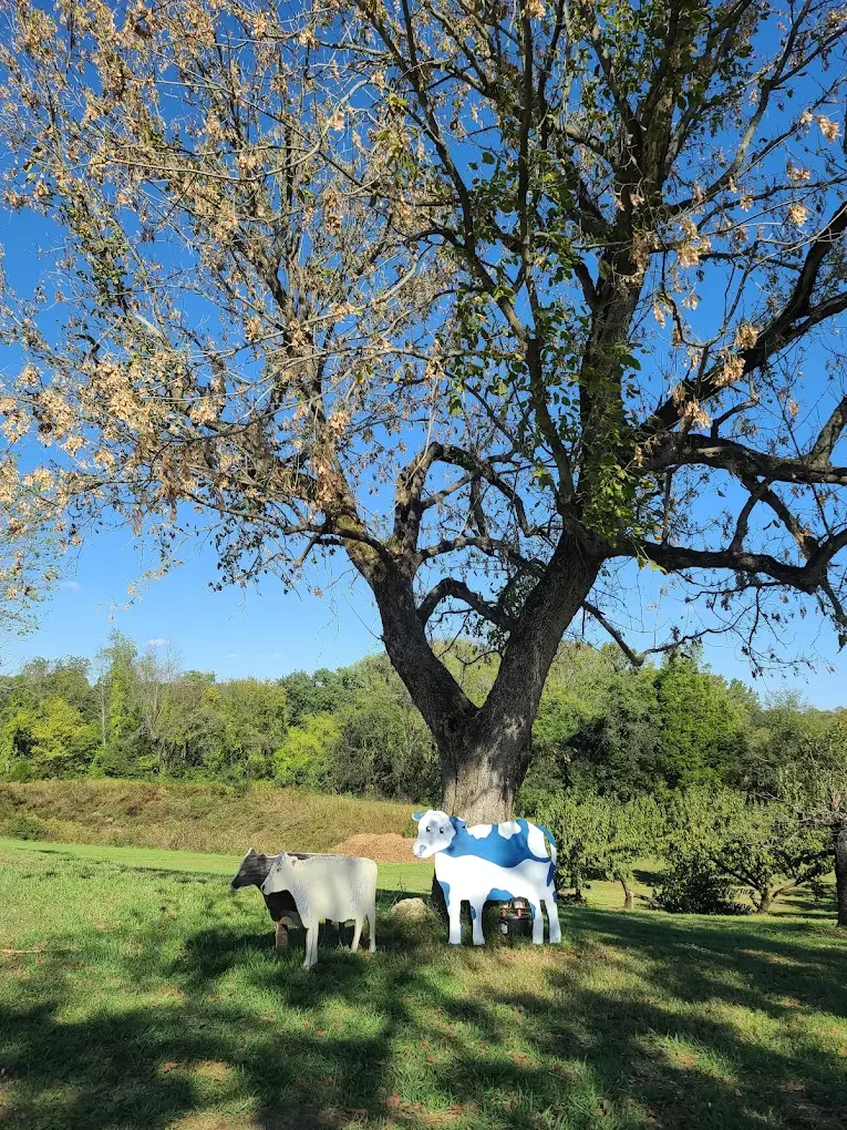 Is Breeden's Orchard Open?A Complete Season-by-Season Availability Guide