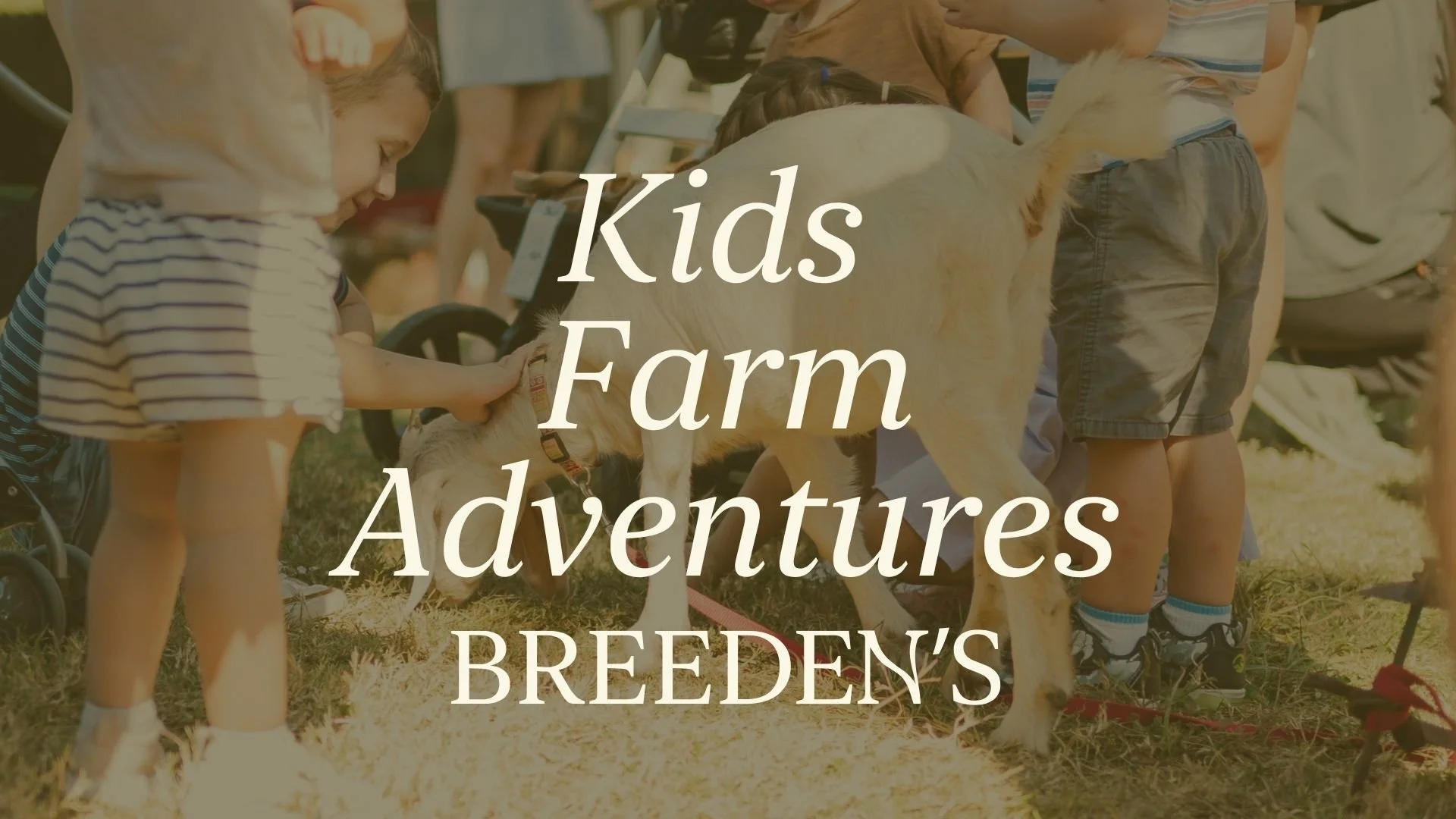 Kids Farm Adventures 