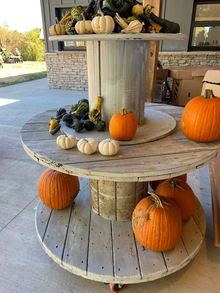 Creative Pumpkin Painting Ideas for Kids and Families