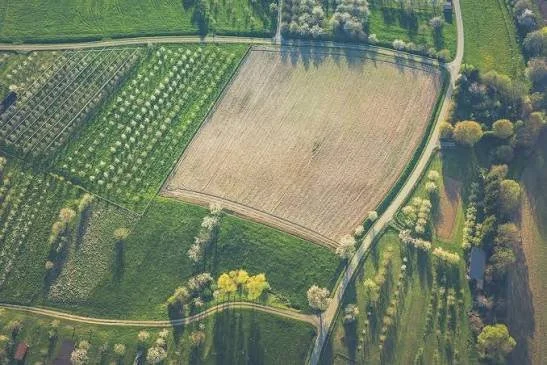 From Old Orchard to New Traditions: How Tennessee Heritage Farms Keep Growing