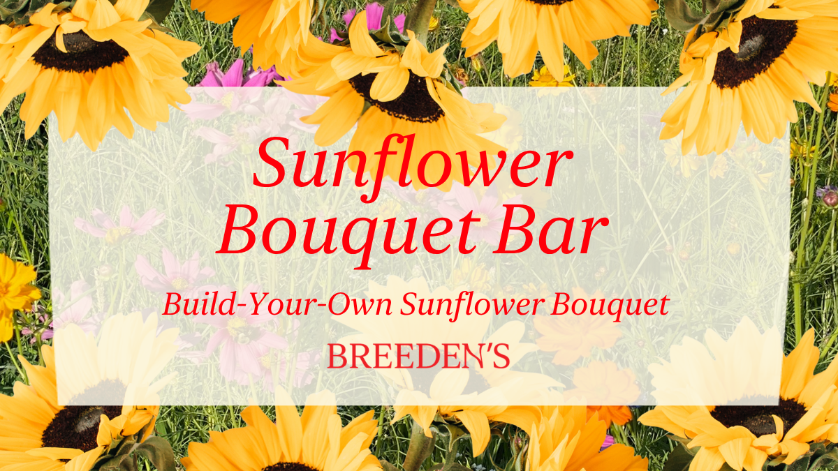 Build-Your-Own Sunflower Bouquet Bar
