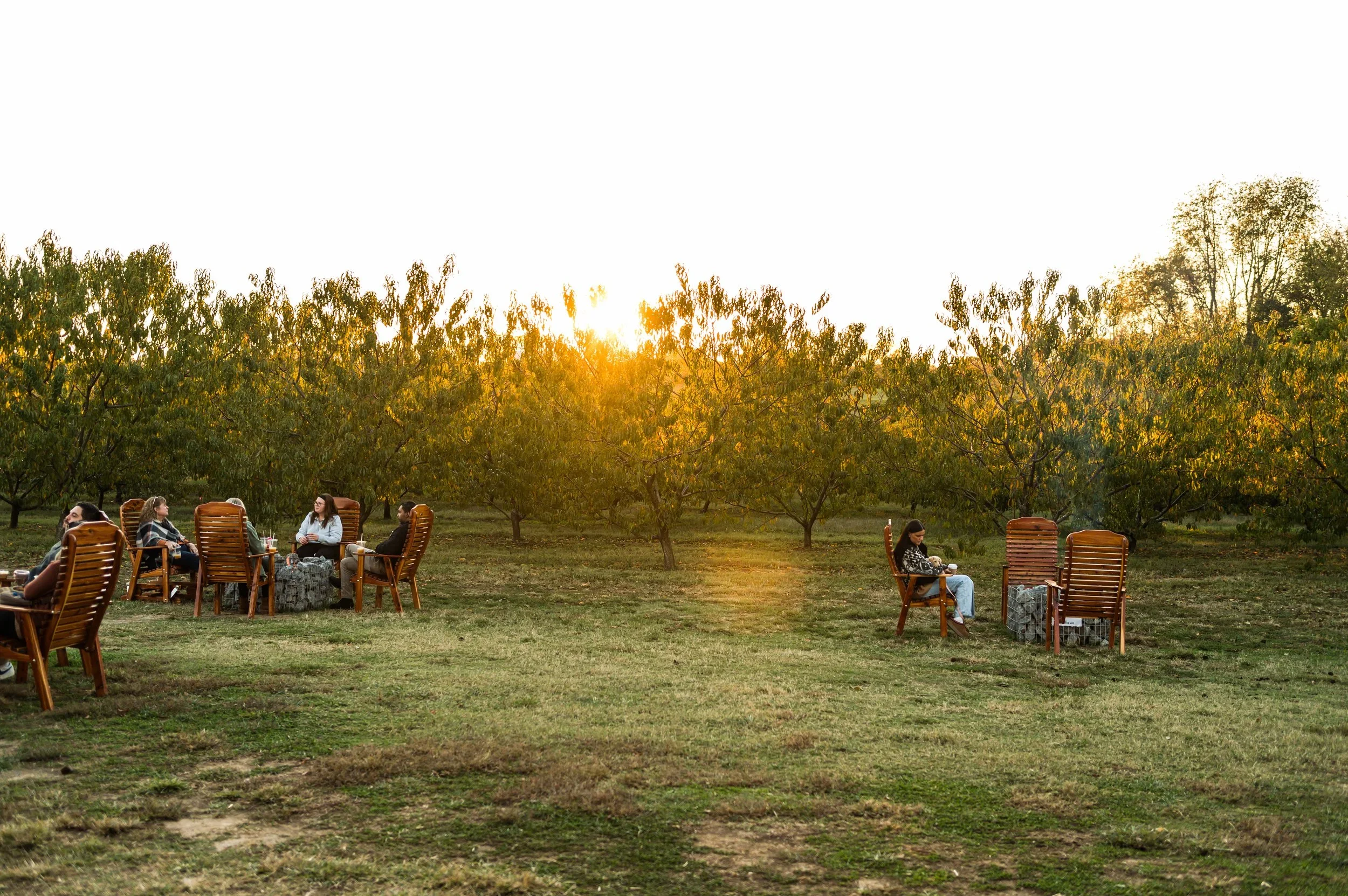 Fall Activities Near Nashville: A Family Day Trip Planner for 2026