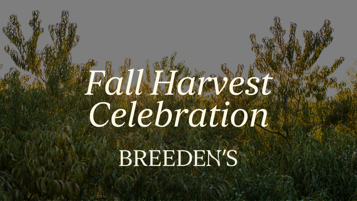 Fall Harvest Celebration