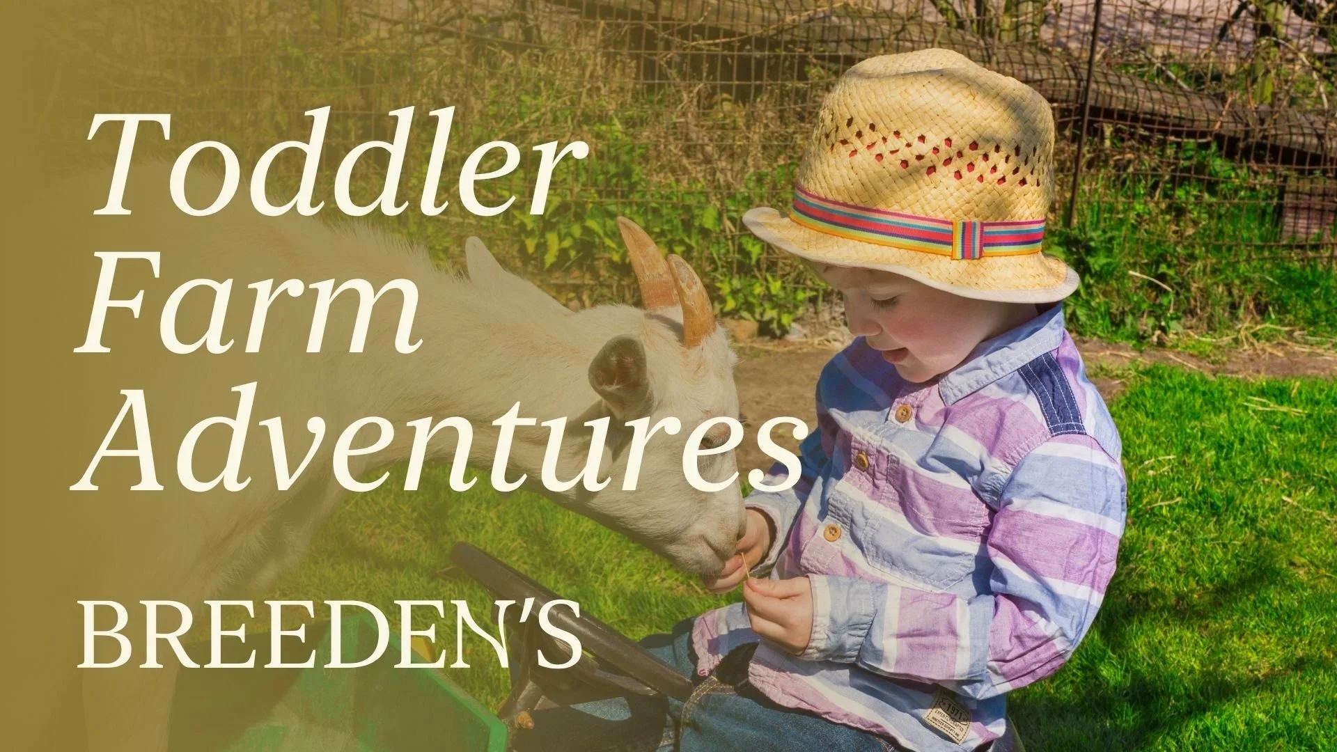 Best Outdoor Activities for Toddlers Near Nashville and Mt. Juliet