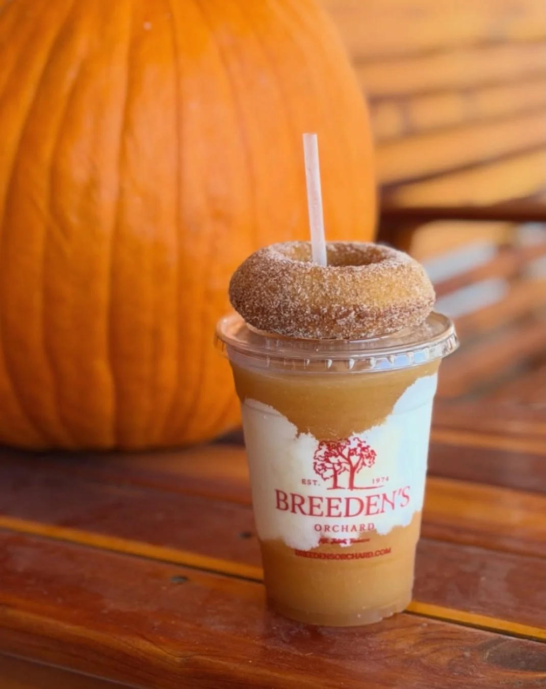 The Breeden&rsquo;s guest photo collection is getting pretty good. 👀🍂

A little roundup of some recent orchard moments, courtesy of you! Keep tagging us in your visits - we love seeing what you get up to around here. 📸

#BreedensOrchard #MtJulietT