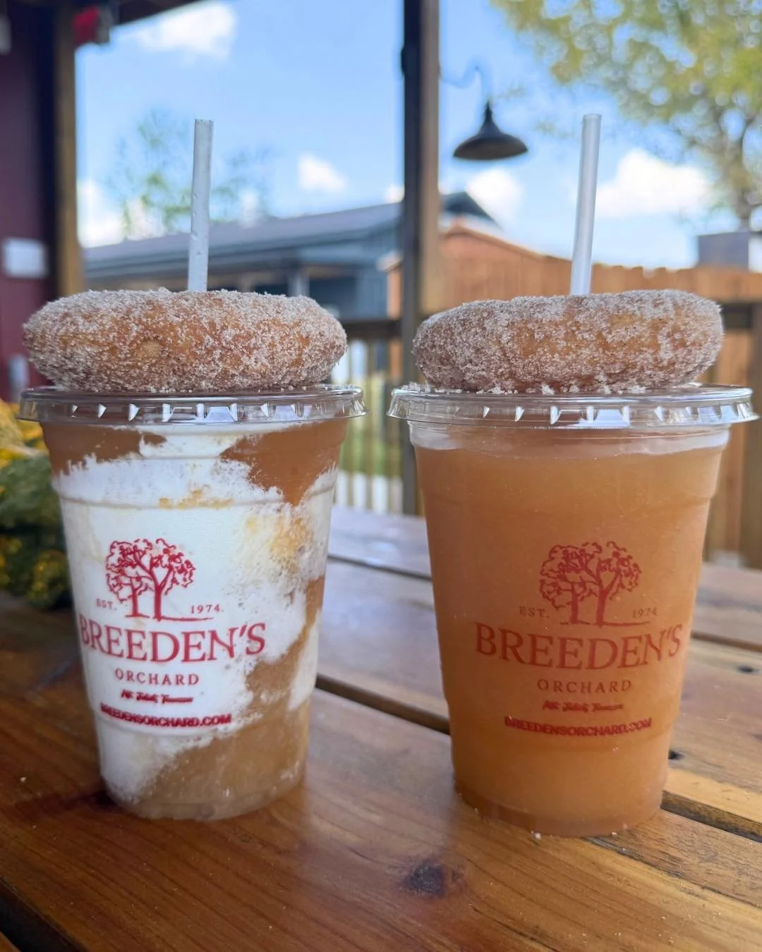 A look at some of the bites we&rsquo;ve been enjoying lately. 🍎

Something cold to sip, something savory for lunch, and plenty of good reasons to grab a table and stay awhile. 👀

Come hungry on your next orchard day! ✨

#BreedensOrchard #MtJulietTN