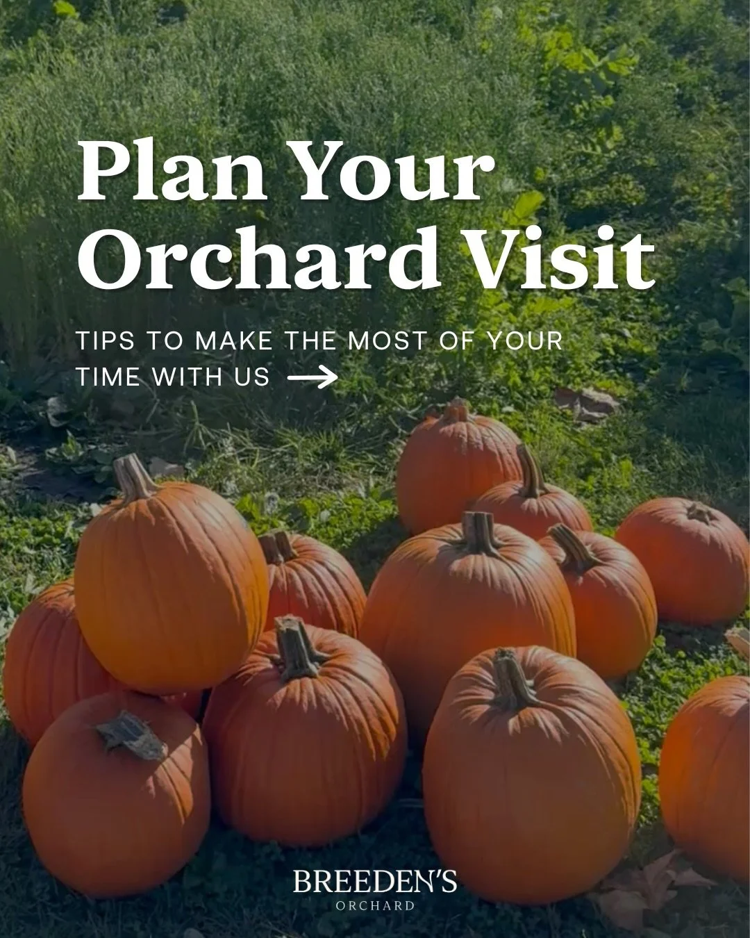 A little fall planning goes a long way! 🍂

We&rsquo;ve loved seeing so many of you at Breeden&rsquo;s this season, and we&rsquo;re expecting another extra busy Saturday ahead! If you&rsquo;re planning to join us this Saturday, please anticipate larg
