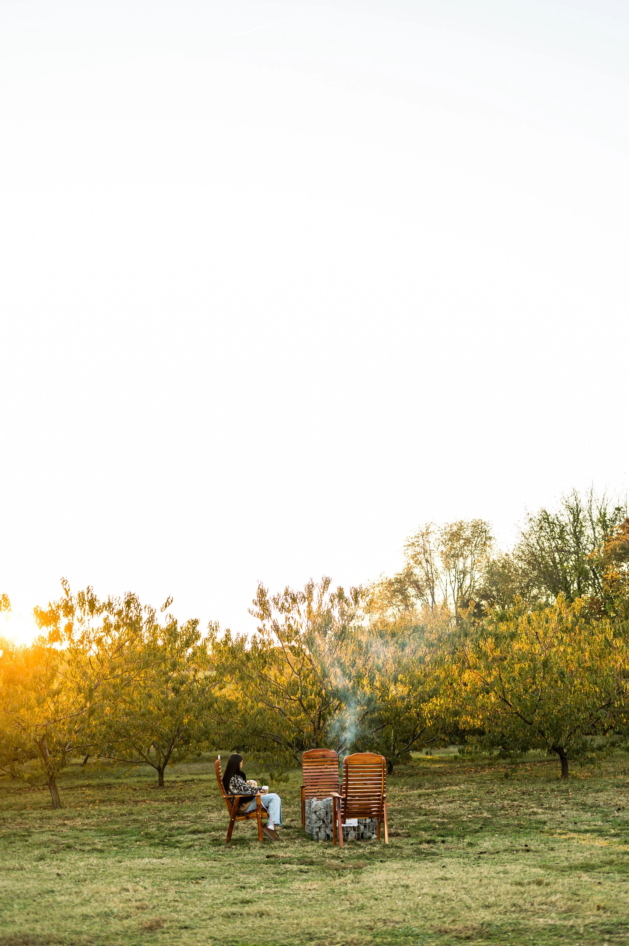 A man with curly dark hair, glasses, and a beard looking thoughtfully to the side in a bright room with a green plant in the background.