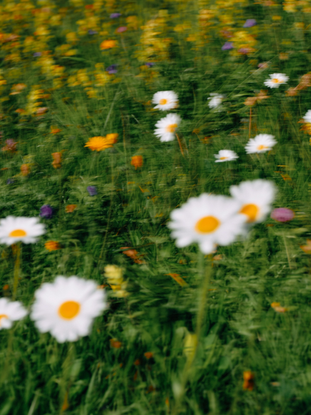 Holistic Menopause Treatment