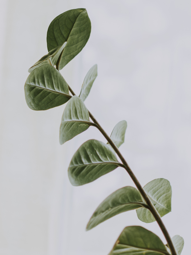 holistic menopause treatment