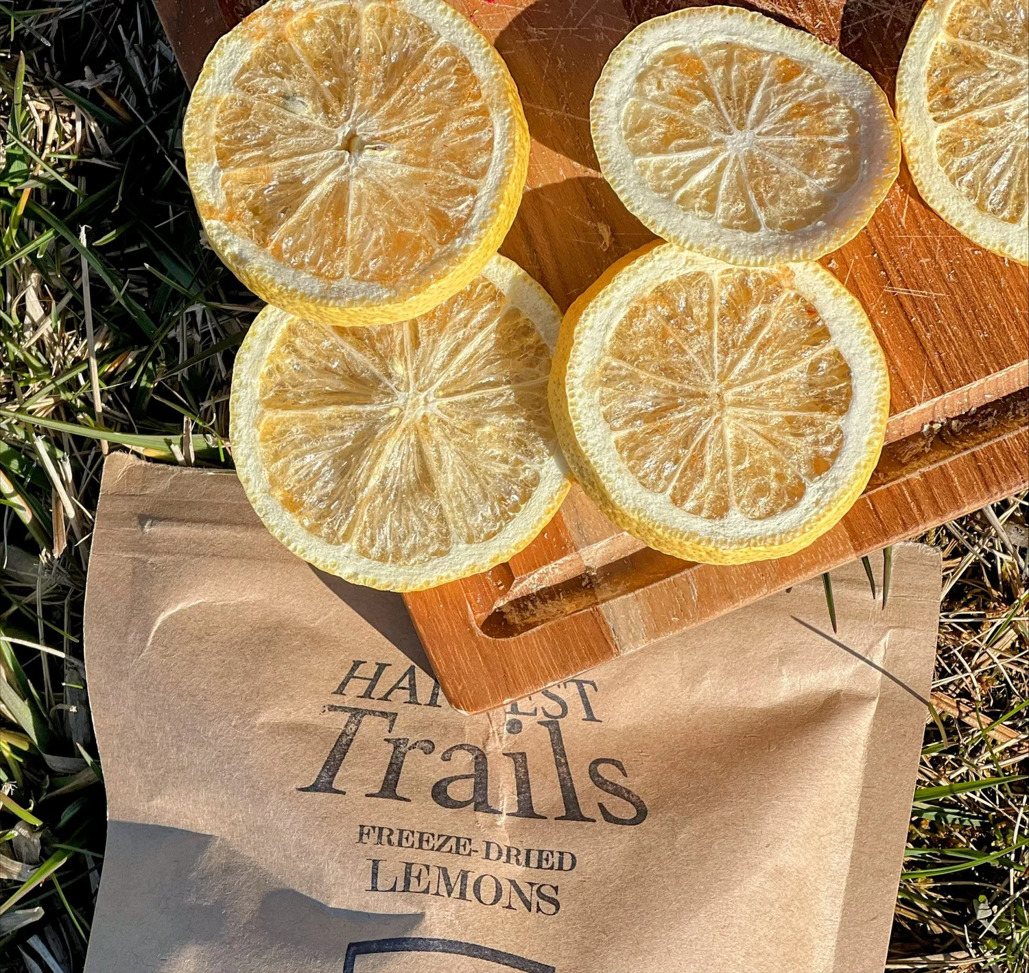 Freeze Dried Lemons — Harvest Trails Co.