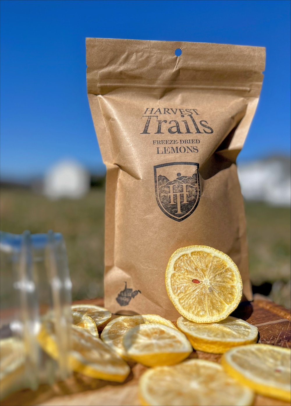 Freeze Dried Lemons — Harvest Trails Co.