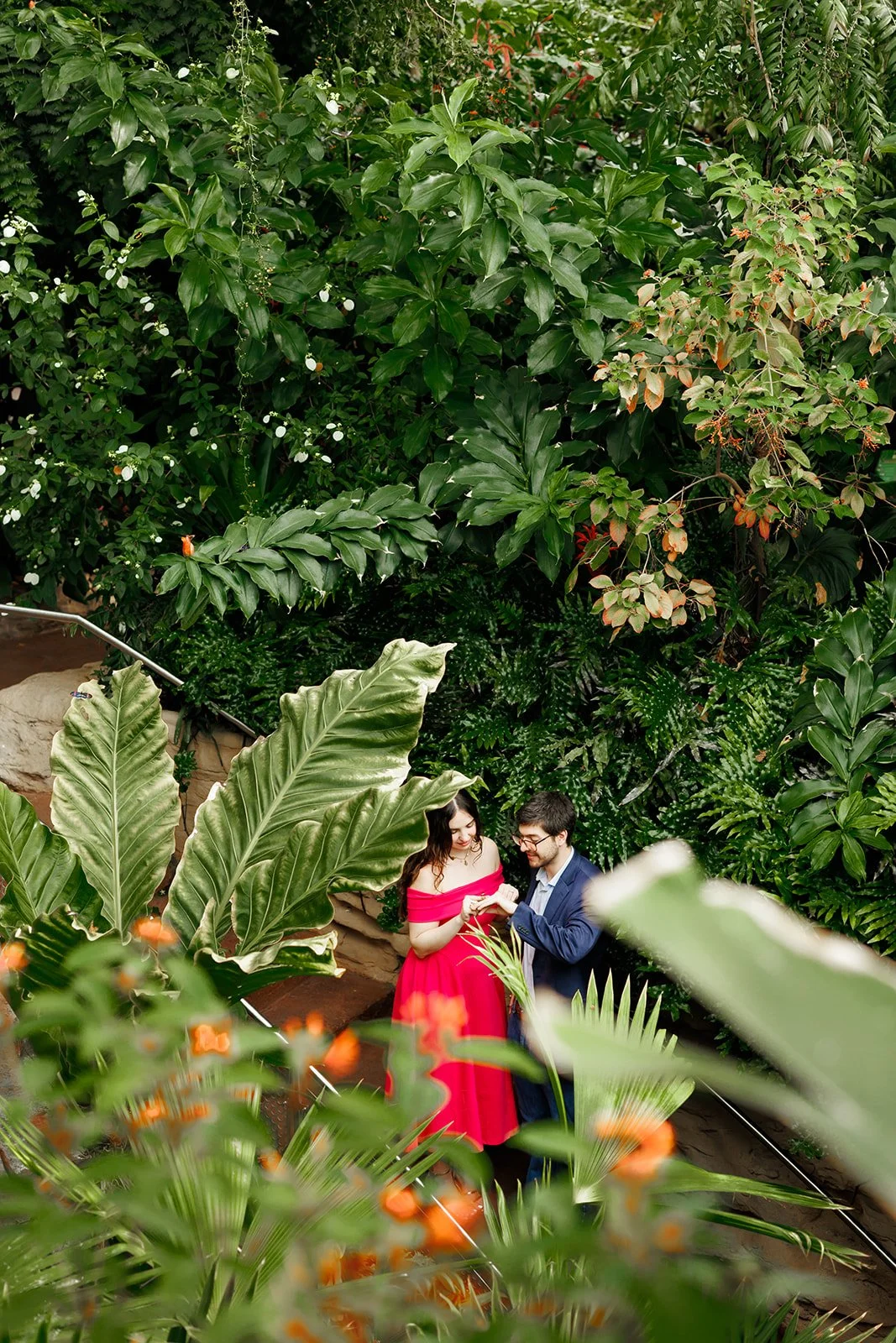 A couple in formal attire, with the woman wearing a red dress and the man in a blue suit, standing and exchanging rings in a lush, green indoor botanical garden.