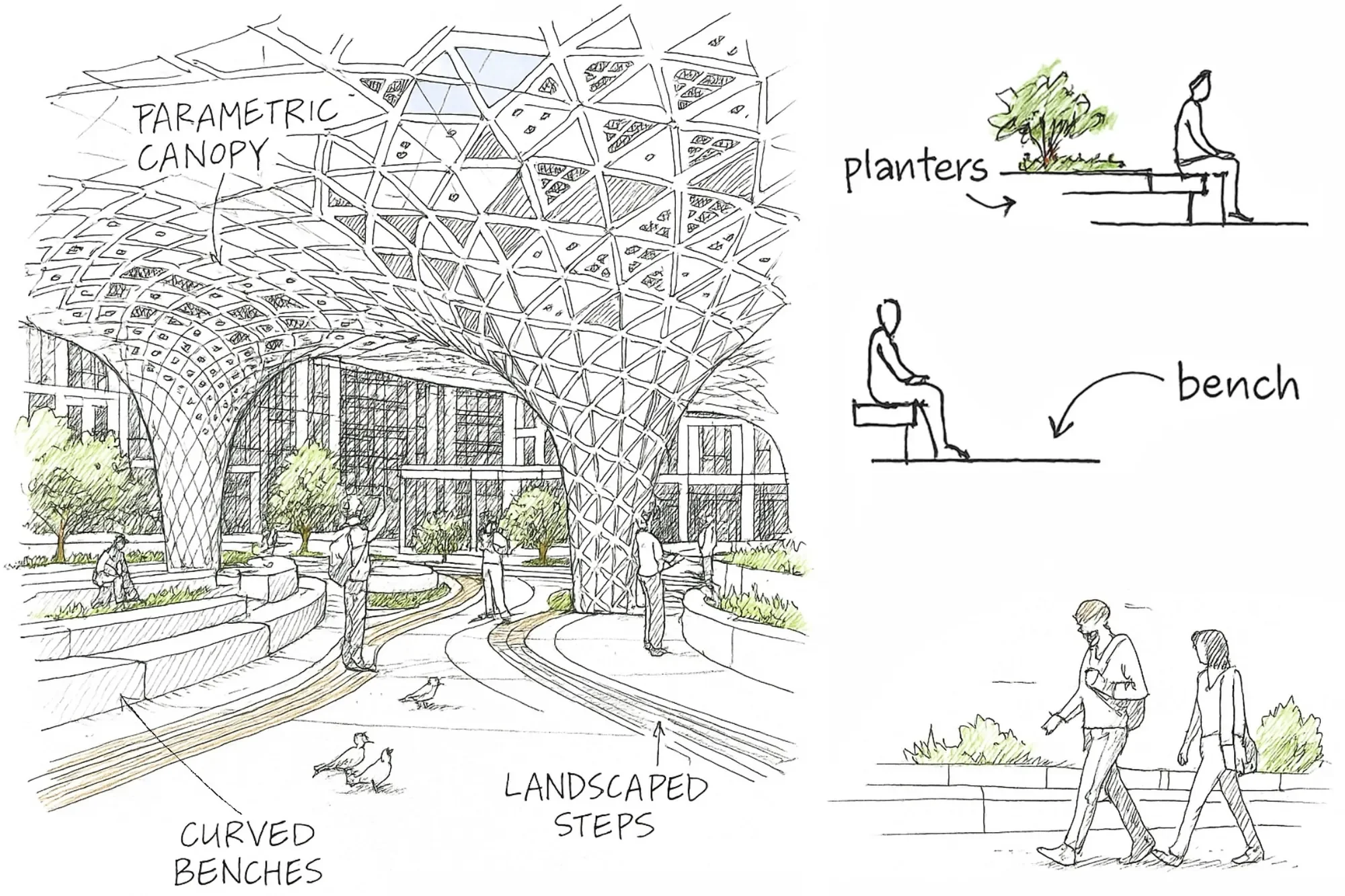 park-canopy_Sketch.webp