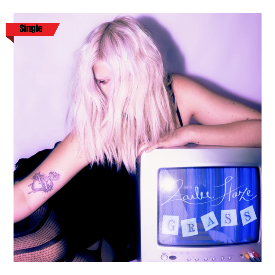 A woman with pink, wavy hair resting her head on an old television set displaying the words "Zauli Stare GRA$S" on the screen. She has a tattoo of a horse on her arm and is wearing a black sleeveless top.