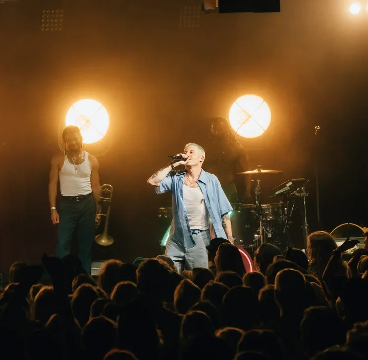 A concert scene with a lead singer holding a microphone and performing on stage, accompanied by other band members and illuminated by warm stage lights, with a crowd of fans in the foreground.