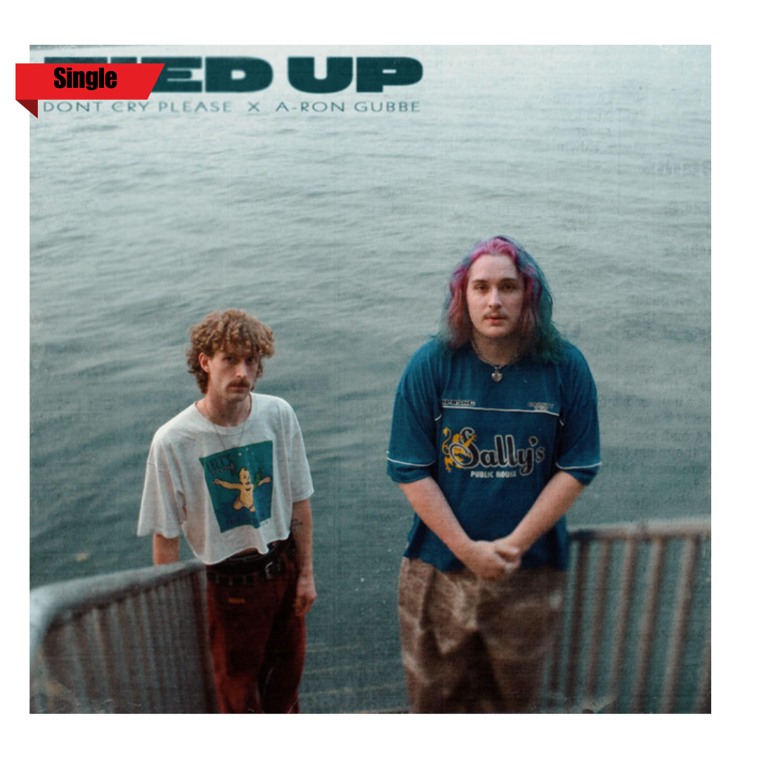 Two young men standing near water, one with curly hair wearing a graphic T-shirt, the other with colorful hair in a blue shirt, with a blurred railing in front, and a partially visible album title 'DONT CRY PLEASE X A-RON GUBBE' at the top.
